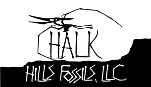 Chalk Hills Fossils